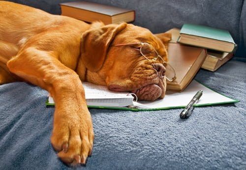 Back to school busy time and we can help!