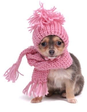  It's getting chilly out there, let us handle the walks!