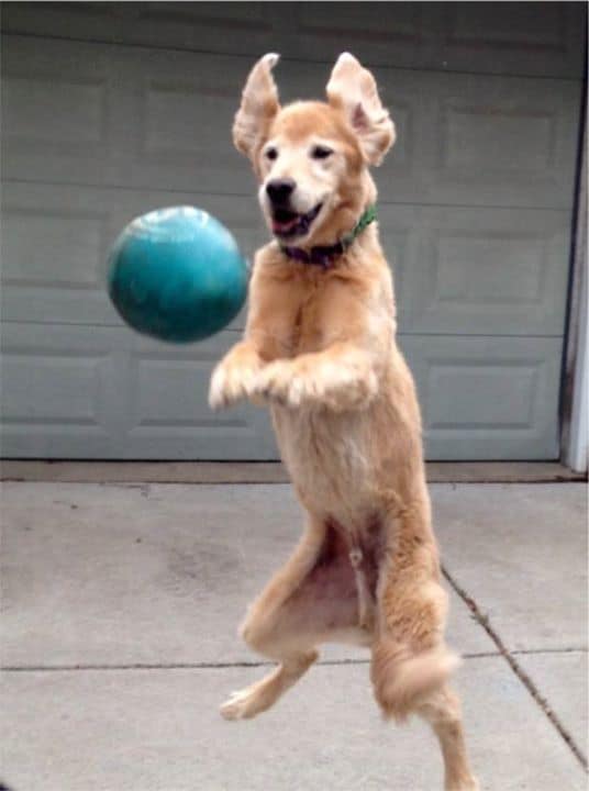 Fun times when my sitter visits!