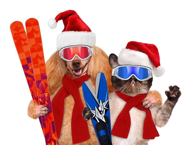  Planning a winter getaway?  Give us a call!