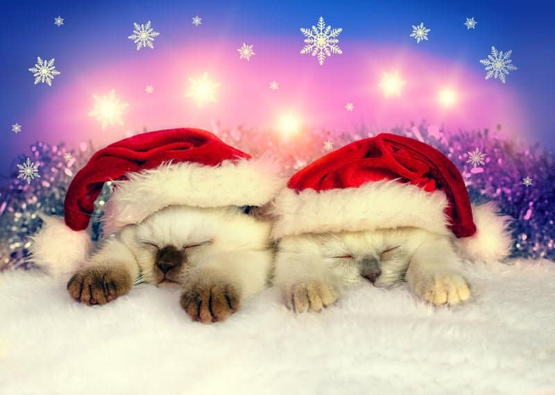 ....while visions of GPP visits danced in their heads!