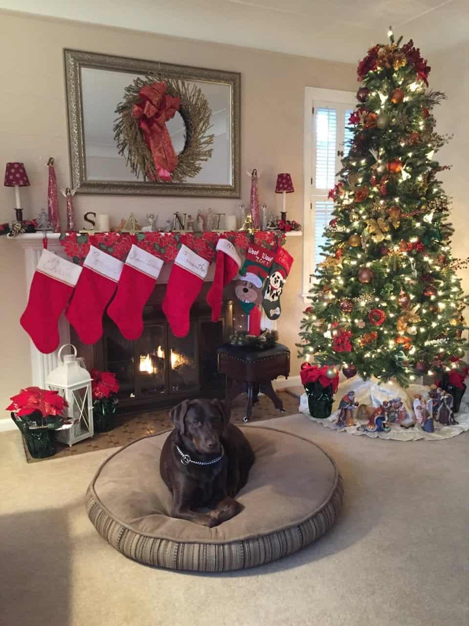  We are here when you need us!