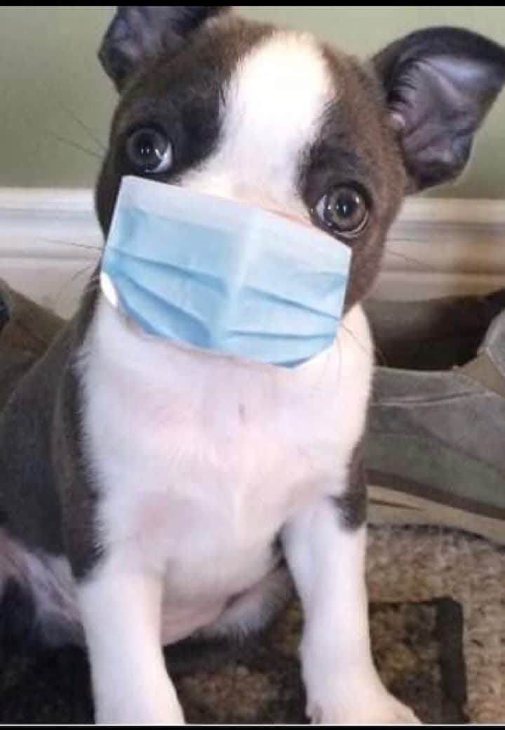  Under the weather and need help?  Call us!